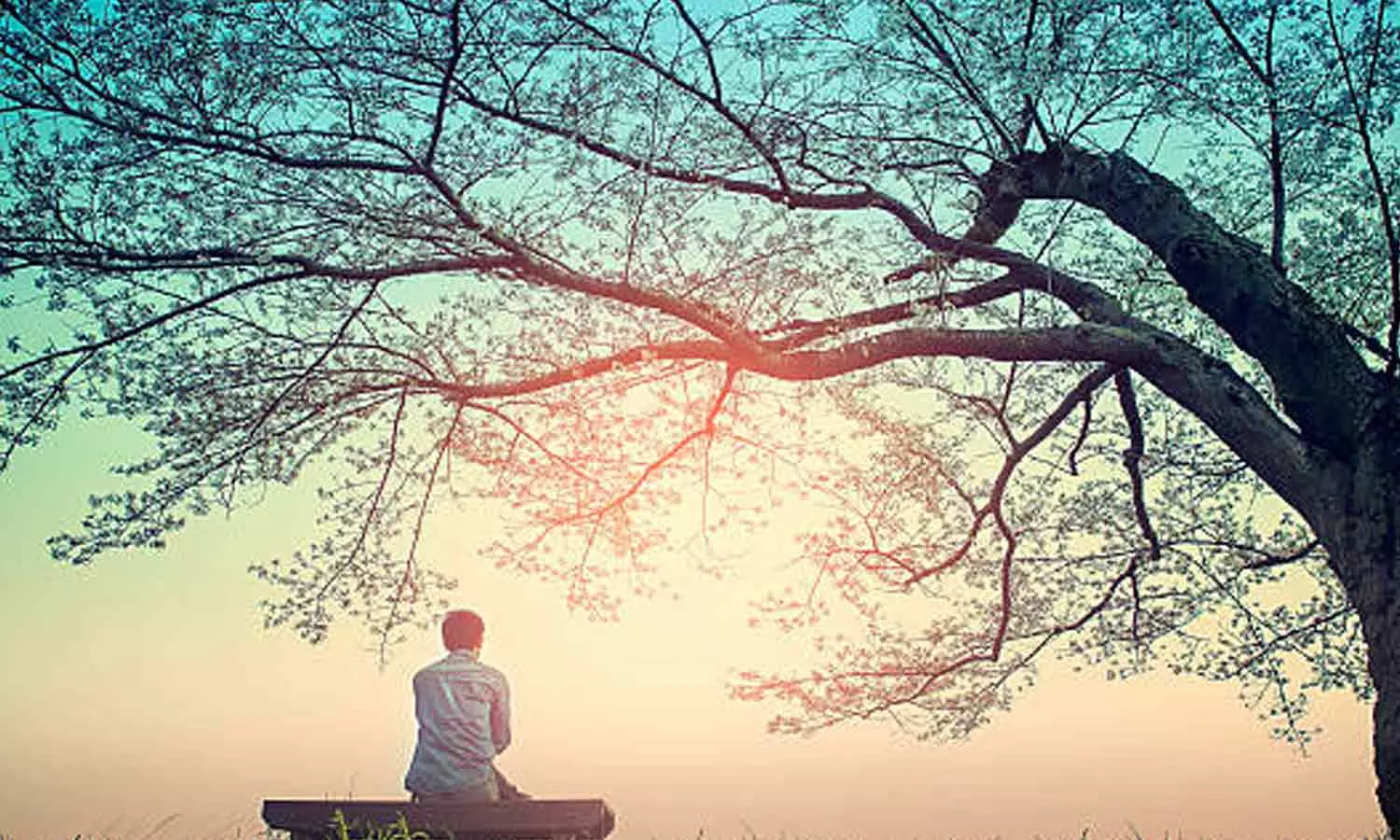 மரமும் மனிதனும்...