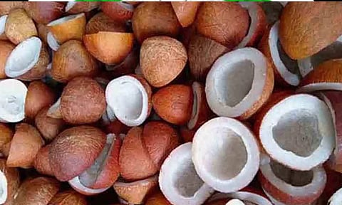 கோப்புபடம்.