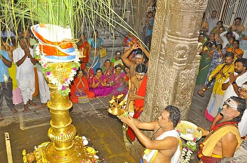 நெல்லை டவுன் நெல்லையப்பர் கோவிலில் திருவாதிரை திருவிழா இன்று காலை கொடியேற்றத்துடன் தொடங்கியது. பின்னர் கொடிமரத்திற்கு தீபாராதனை காட்டப்பட்ட காட்சி.