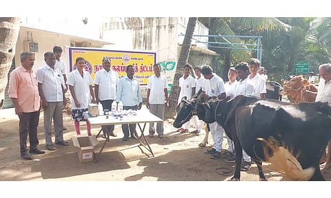 போச்சம்பள்ளி அருகே உள்ள நாகரசம்பட்டி அரசு ஆண்கள் மேல்நிலைப் பள்ளியில் நடைபெற்ற நாட்டு நலப்பணி திட்ட முகாமில் கால்நடைகளுக்கு சிறப்பு சிகிச்சை முகாம் நடைபெற்றது.