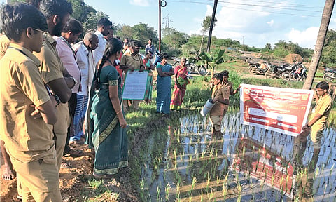 ஜெகதாப் கிராமத்தில் திருந்திய நெல் சாகுபடியில் வயல் நீர் குழாயின் பயன்பாடு பற்றிய செயல் முறை விளக்கம் மாணவர்களால் எடுத்துரைக்கப்பட்டது.