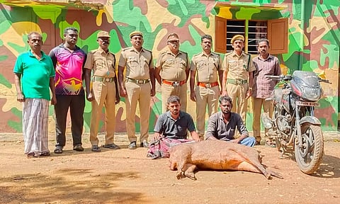 காட்டுப்பன்றியை வேட்டையாடிய சண்முகராஜ், மகேஷ்குமார்.