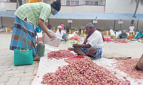 தருமபுரியில் வெங்காய விளைச்சல் பாதிப்பு