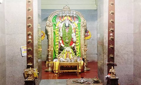 மூலவர் தன்வந்திரி பெருமாள் துளசி மாலை, வண்ண மலர்களால் அலங்கரிக்கப்பட்டு பூஜை நடந்த போது எடுத்த படம்