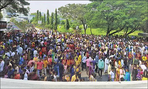வண்டலூர் உயிரியல் பூங்காவில் குவிந்த பொதுமக்களை படத்தில் காணலாம்.