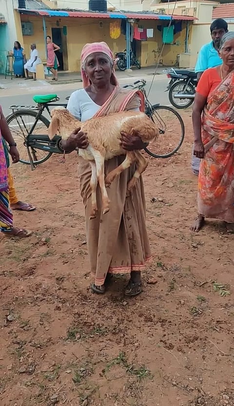 கிணற்றில் விழுந்த ஆடு உயிருடன் மீட்பு