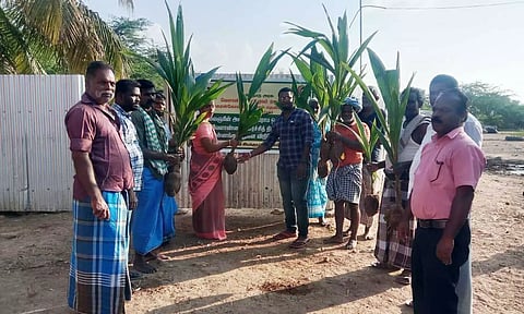 விவசாயிகளுக்கு தென்னங்கன்றுகள் வழங்கப்பட்டபோது எடுத்த படம்.