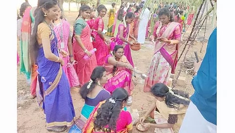 வல்லம் பெரியார் மணியம்மை பல்கலைகழகத்தில் சமத்துவ பொங்கல் விழா கொண்டாட்டம்