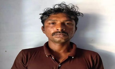 இன்னாசி லயோலா 