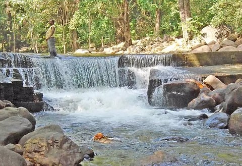 களக்காடு தலையணையில் தண்ணீர் வரத்து குறைந்துள்ளதை படத்தில் காணலாம்.