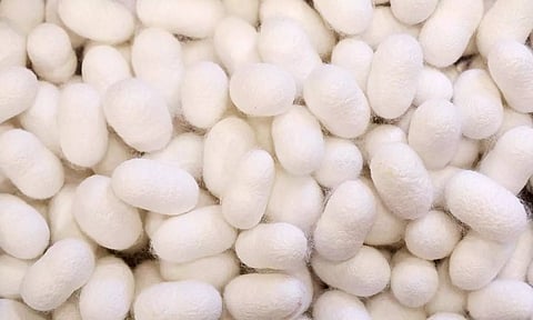 கோப்புபடம். 