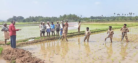மாணவர்கள் விவசாயிகளுக்கு செயல் விளக்கம் அளித்த காட்சி