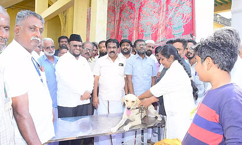 இலவச வெறிநாய் தடுப்பூசி முகாமினை பாபநாசம் எம்.எல்.ஏ. ஜவாஹிருல்லா தொடங்கி வைத்தார்.