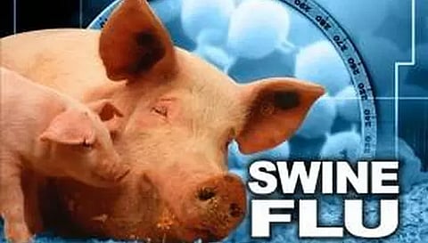 கேரளாவில் பன்றிக்காய்ச்சலுக்கு பெண் பலி