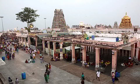 பழனி கோவிலில் கும்பாபிஷேக பணி தீவிரம்: நவபாஷாண சிலையை பாதுகாப்பு குழு ஆய்வு