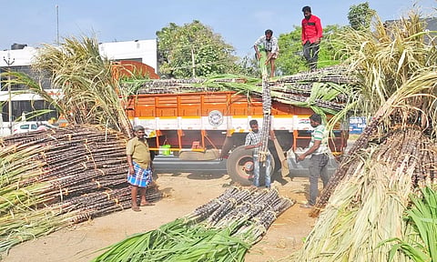குமரி மாவட்டத்தில் பொங்கல் பொருட்கள் விற்பனை சூடு பிடிக்கிறது - கடை வீதிகளில் மக்கள் கூட்டம் அலைமோதல்