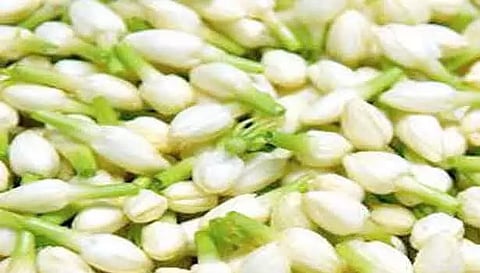 பொங்கல் பண்டிகையையொட்டி சேலத்தில் பூக்கள் விலை கிடுகிடுவென உயர்வு