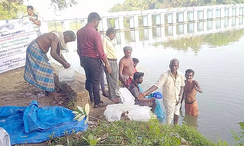 வெட்டாற்றில் மீன் குஞ்சுகள் விடப்பட்டன.