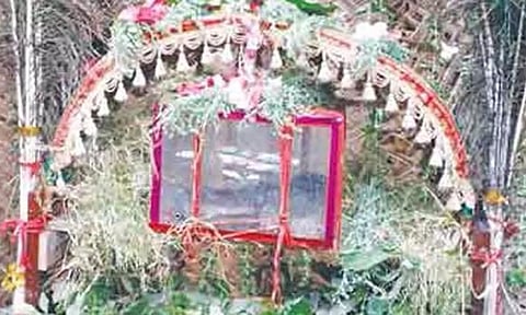 திருச்செந்தூர் கோவிலுக்கு சர்ப்ப காவடி எடுத்து வர பக்தர்களுக்கு தடை