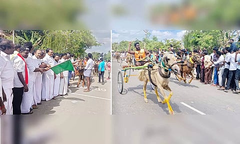மாடு- குதிரை எல்கை பந்தயத்தை நிவேதா முருகன் எம்.எல்.ஏ. கொடியசைத்து தொடங்கி வைத்தார் மற்றும் பந்தயத்தின் போது சீறிப்பாய்ந்த குதிரைகள்.