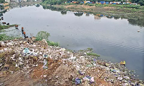 அடையாறு ஆறு, கூவம், பக்கிங்காம் கால்வாய் தண்ணீர் பயன்படுத்த தகுதி இல்லாதவையாக மாறின- ஆய்வில் தகவல்