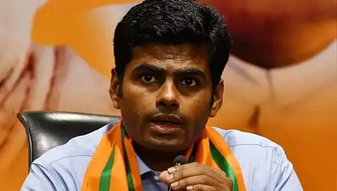 தமிழக அரசியல் நிலவரங்களை விளக்கினார்- மத்திய மந்திரி அமித்ஷாவுடன் அண்ணாமலை சந்திப்பு