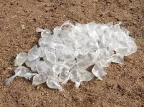 போலீசார் அதிரடி சோதனை கடலூர் மாவட்டத்தில் 1465 மது பாட்டில்கள், சாராயம் பறிமுதல்: 127 பேர் கைது