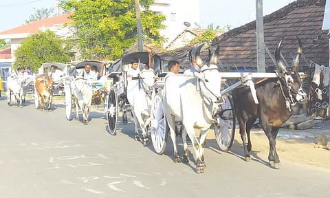 தை அமாவாசை வழிபாடு- அமணலிங்கேஸ்வரர் கோவிலுக்கு மாட்டு வண்டிகளில் அணிவகுத்து வந்த விவசாயிகள்