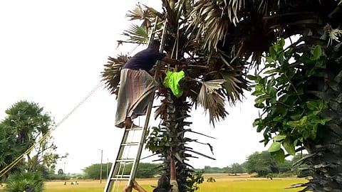 மின்சாரம் தாக்கி முதியவர் பலி