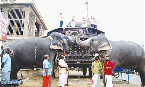 முகூர்த்தக்கால் நடப்பட்டதையும், யானைகள் வழிபட்டதையும் படத்தில் காணலாம்.
