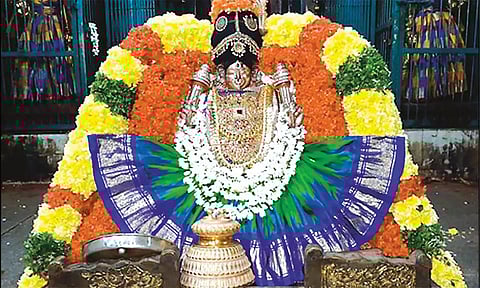 செங்கமலதாயார் சிறப்பு அலங்காரத்தில் பக்தர்களுக்கு அருள்பாலித்த போது எடுத்த படம்.