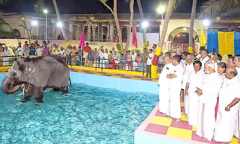 கோவிலில் நீச்சல்குளத்தை அமைச்சர் சேகர்பாபு திறந்து வைத்து பார்வையிட்டார்.