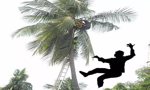 தென்னை மரத்தில் இருந்து தவறி விழுந்து தொழிலாளி பலி