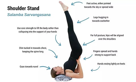 பாலியல் கோளாறுகளை குணப்படுத்தும் சலம்ப சர்வாங்காசனம்