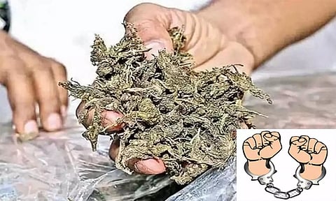 திருவண்ணாமலை கிரிவலப்பாதையில் கஞ்சா விற்ற போலி சாமியார் கைது