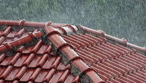 நெல்லை, தென்காசி, தூத்துக்குடி மாவட்டங்களில் பரவலாக மழை