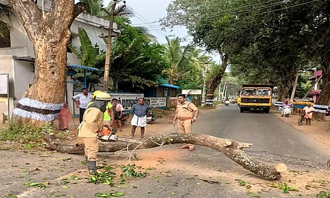 முறிந்து விழுந்த மரத்தை தீயணைக்கும் படையினர் வெட்டிஅகற்றிய போது எடுத்த படம்.