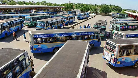 பவுர்ணமி, தைப்பூசத்திருவிழாவை முன்னிட்டு சிறப்பு பேருந்துகள் இயக்கம்