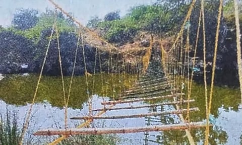 விவசாயி கட்டிய மர பாலம்