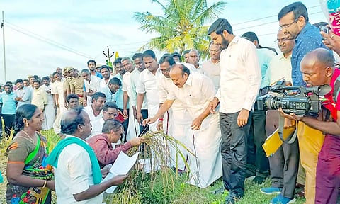 மழையால் பாதிக்கப்பட்ட நெற்பயிர்களை அமைச்சர் எம்.ஆர்.கே.பன்னீர்செல்வம் ஆய்வு செய்தார்.