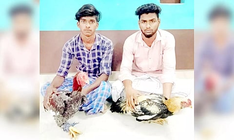 கைது செய்யப்பட்டவர்கள்.