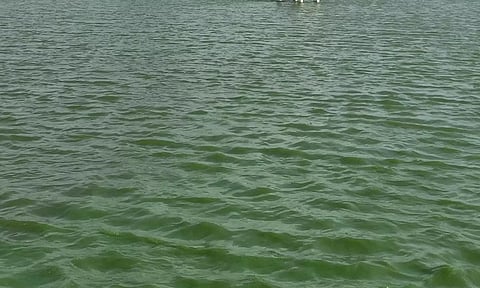 கடம்பத்தூர் அருகே கூவம் ஆற்றின் குறுக்கே புதிய தடுப்பணை- தண்ணீர் வீணாவதை தடுக்க நடவடிக்கை