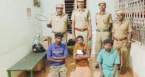 மான் இறைச்சி சமைத்து சாப்பிட்ட 3 பேருக்கு ரூ.75 ஆயிரம் அபராதம்