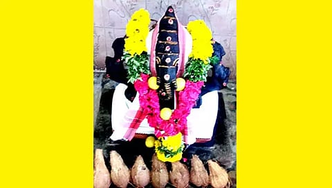 விசாலாட்சி விநாயகர் கோவிலில் சங்கடஹர சதுர்த்தி விழா