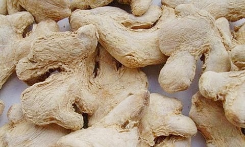 உயிர் காக்கும் அமிர்தம் 'சுக்கு'