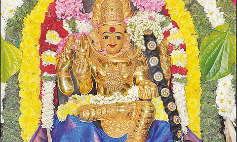 கோட்டை மாரியம்மன் கோவில் 12-ம் ஆண்டு விழா: அம்மனுக்கு தங்க கவச அலங்காரம்