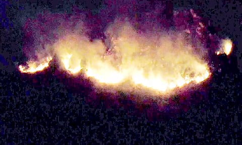 தவளகிரீஸ்வரர் மலையில் தீ பற்றி எரிந்த காட்சி.