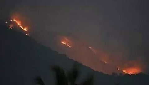 ஏற்காடு மலையில் பரவி வரும் தீ விபத்து- மரங்கள், செடிகள் கருகியது