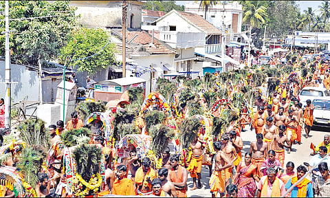 எடப்பாடி பக்தர்கள் மயில் காவடிகளுடன் வலம் வந்தபோது எடுத்த படம்.
