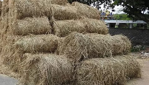 வைக்கோல் விற்பனை அமோகம்